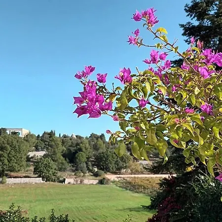 Villa Racconto Di Puglia - *